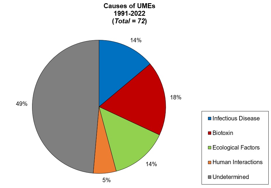 Marine Mammal Unusual Mortality Events | NOAA Fisheries